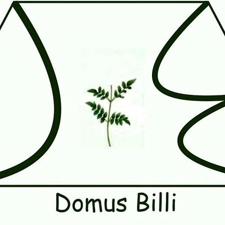 Domus Billi Villa Палермо Екстериор снимка