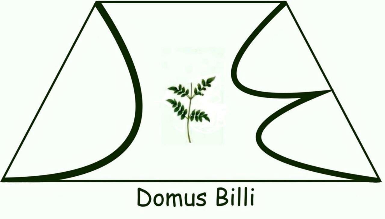 Domus Billi Villa Палермо Екстериор снимка